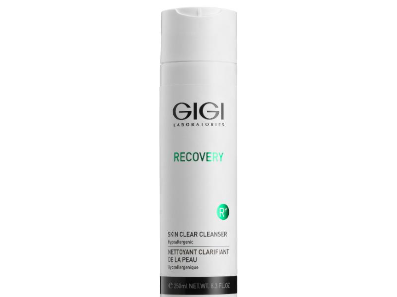 Gigi Recovery